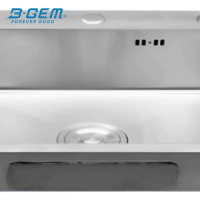 B-Gem - R_1H - CHẬU 1 HỘC INOX 304